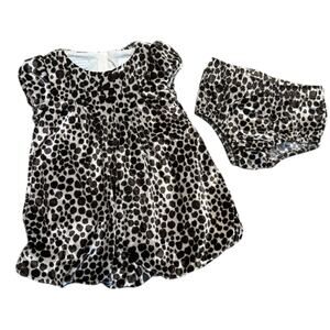 First Impressions Animal Print Velour Bubble Dress With Shorts 6-9 Months